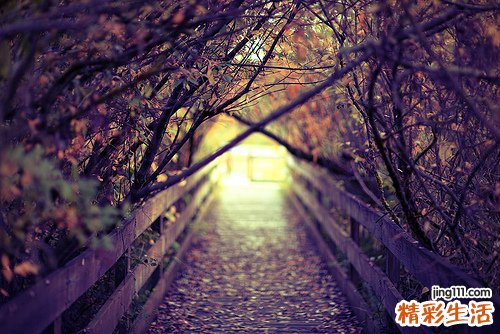 2 美容技巧 对抗黑头的五个小秘方