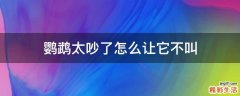 鹦鹉太吵了怎么让它不叫