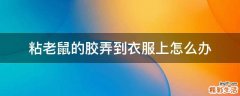 粘老鼠的胶弄到衣服上怎么办