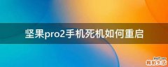 坚果pro2手机死机如何重启