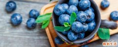 蓝莓保存时间和方法 蓝莓在冰箱放了一个月还能吃吗