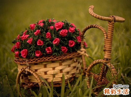 白内障疾病在临床上的表现