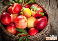 油桃软了还能吃吗 油桃怎么保存不会软