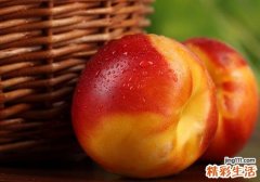 芒果和油桃能一起吃吗 油桃和芒果一起吃的好处