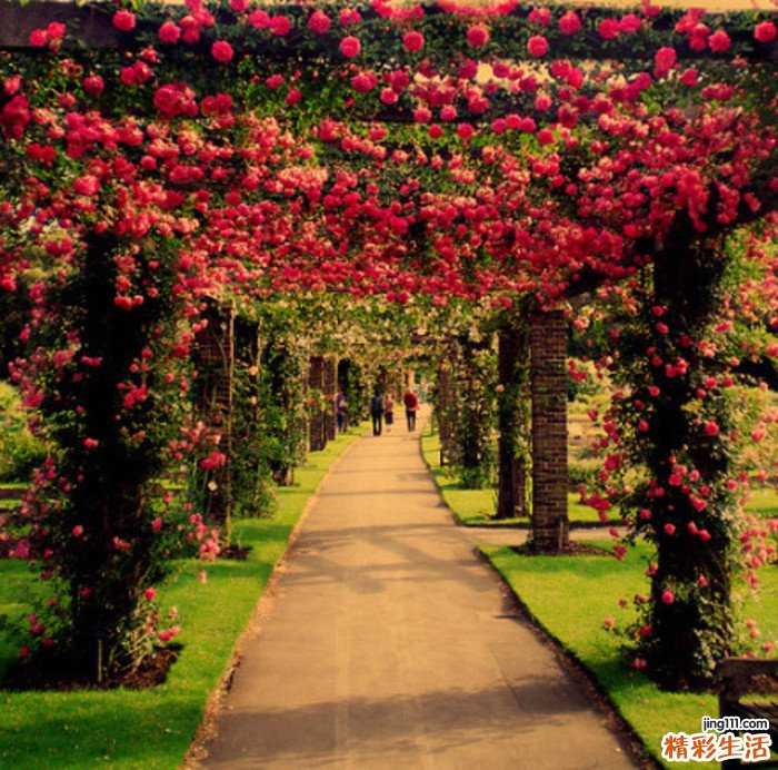 老年人便秘要怎么调理