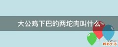 大公鸡下巴的两坨肉叫什么