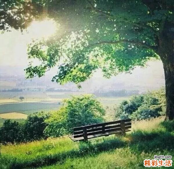 9 中西医结合防治老年人呼吸病