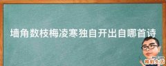 墙角数枝梅凌寒独自开出自哪首诗
