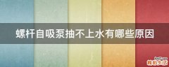 螺杆自吸泵抽不上水有哪些原因