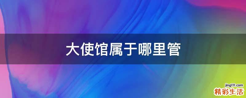 大使馆属于哪里管