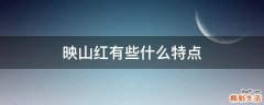 映山红有些什么特点