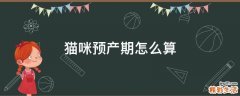 猫咪预产期怎么算