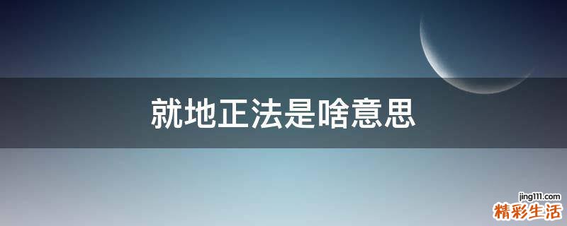 就地正法是啥意思