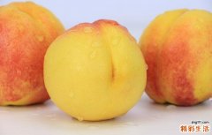 油桃是不是桃子 吃油桃有什么好处