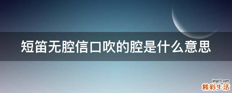 短笛无腔信口吹的腔是什么意思