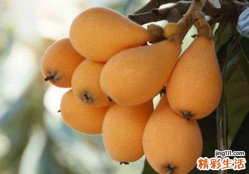 枇杷和苹果能一起吃吗