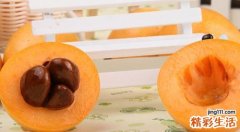 吃枇杷会引起腹泻吗 吃枇杷拉肚子怎么办