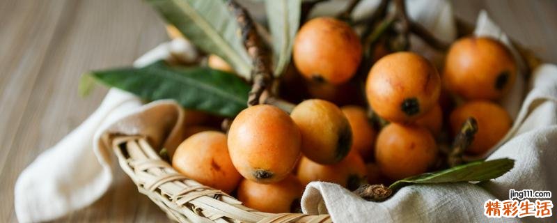 枇杷果一天吃几个最好 枇杷果什么时候吃最好