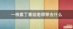 一株紫丁香给老师带去什么
