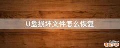 U盘损坏文件怎么恢复