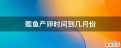 鲤鱼产卵时间到几月份