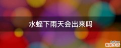 水蛭下雨天会出来吗