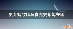 史莱姆牧场马赛克史莱姆在哪