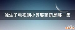 独生子电视剧小苏娶萌萌是哪一集