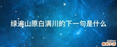 绿遍山原白满川的下一句是什么