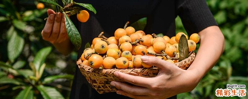 枇杷是剥皮吃还是拿着直接吃 枇杷是高糖还是低糖