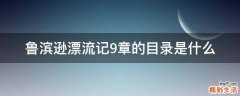鲁滨逊漂流记9章的目录是什么
