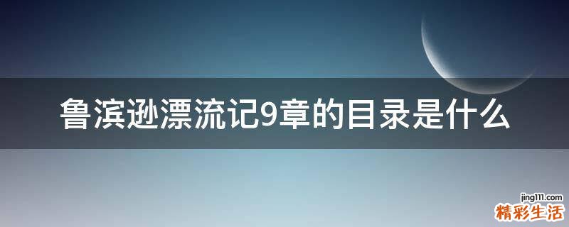 鲁滨逊漂流记9章的目录是什么