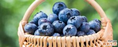 车厘子可以和蓝莓一起吃吗 车厘子和蓝莓一起吃的好处