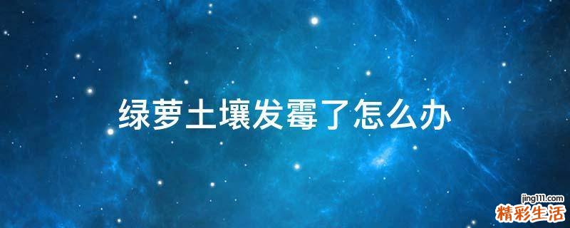绿萝土壤发霉了怎么办
