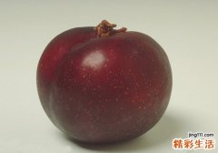 黑布林是凉性水果吗