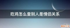 吃鸡怎么查别人是情侣关系