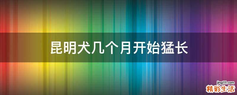 昆明犬几个月开始猛长