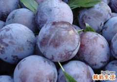 黑布林的营养价值