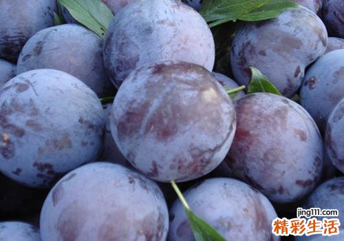 黑布林的营养价值