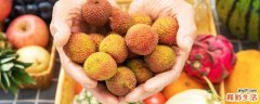 荔枝季节是哪几个月 桂味荔枝几月份成熟