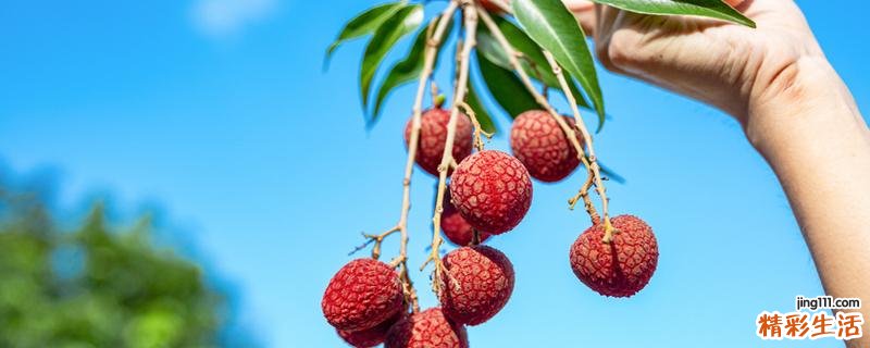 荔枝牛奶可以一起吃吗 吃完荔枝多久可以喝牛奶