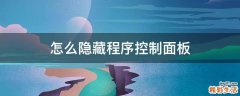 怎么隐藏程序控制面板