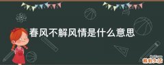 春风不解风情是什么意思