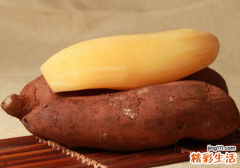 雪莲果的功效 雪莲果怎么吃