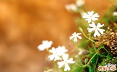 糖尿病早餐吃粥重搭配