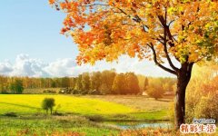 生死只在一瞬间