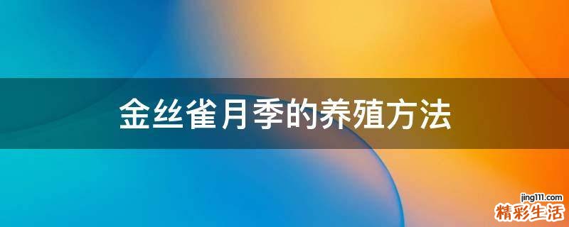 金丝雀月季的养殖方法