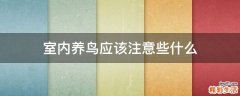 室内养鸟应该注意些什么