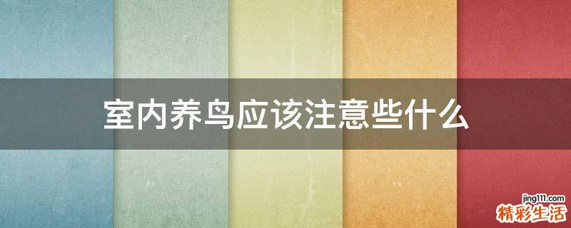 室内养鸟应该注意些什么