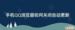 手机QQ浏览器如何关闭自动更新